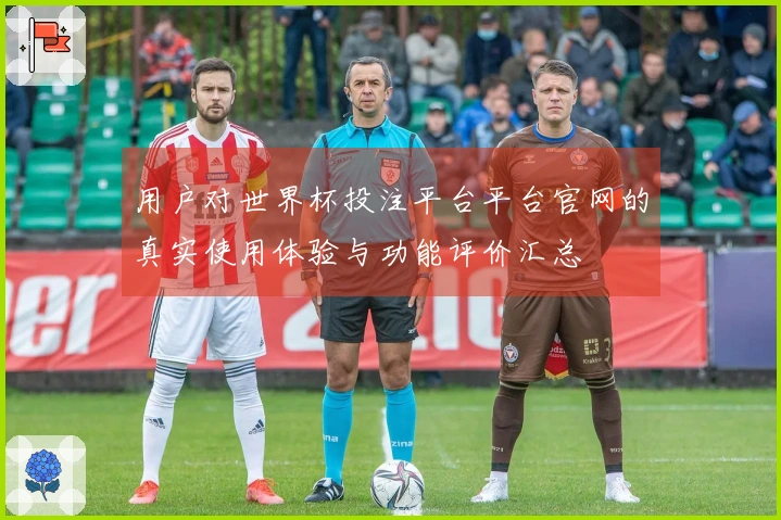 用户对世界杯投注平台平台官网的真实使用体验与功能评价汇总