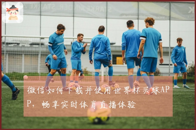 微信如何下载并使用世界杯买球APP,畅享实时体育直播体验