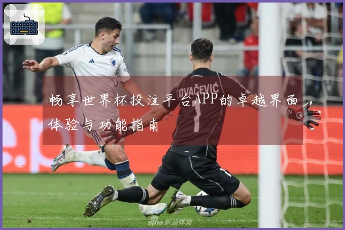 畅享世界杯投注平台APP的卓越界面体验与功能指南