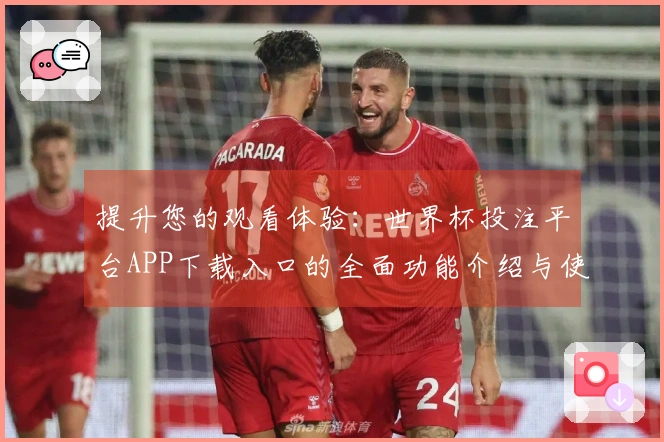 提升您的观看体验：世界杯投注平台APP下载入口的全面功能介绍与使用指南