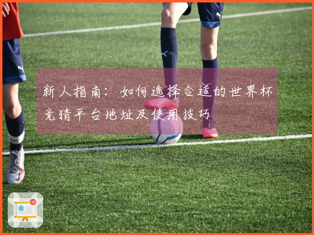 新人指南：如何选择合适的世界杯竞猜平台地址及使用技巧