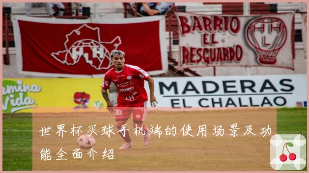 世界杯买球手机端的使用场景及功能全面介绍