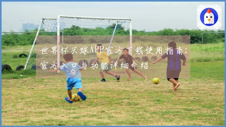 世界杯买球APP官方下载使用指南：官方入口与功能详细介绍