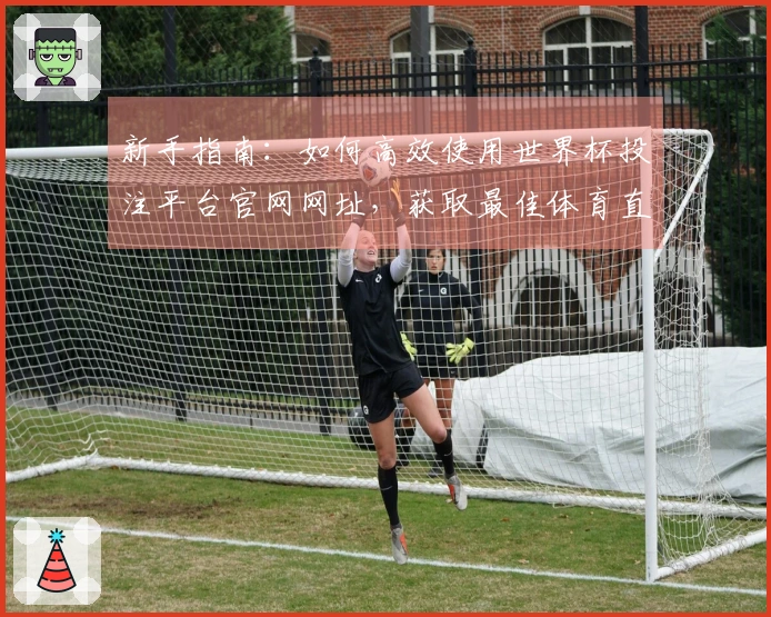 新手指南：如何高效使用世界杯投注平台官网网址，获取最佳体育直播体验