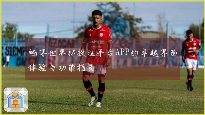 畅享世界杯投注平台APP的卓越界面体验与功能指南