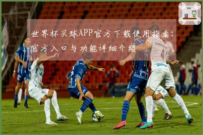 世界杯买球APP官方下载使用指南：官方入口与功能详细介绍